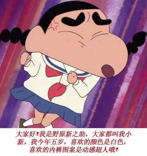 蜡笔小新爆料正男视频在线观看,在线观看爆笑瞬间 第3张 蜡笔小新爆料正男视频在线观看,在线观看爆笑瞬间 第3张