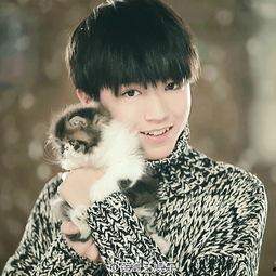 实名爆料王俊凯视频下载,揭秘幕后真相  第2张